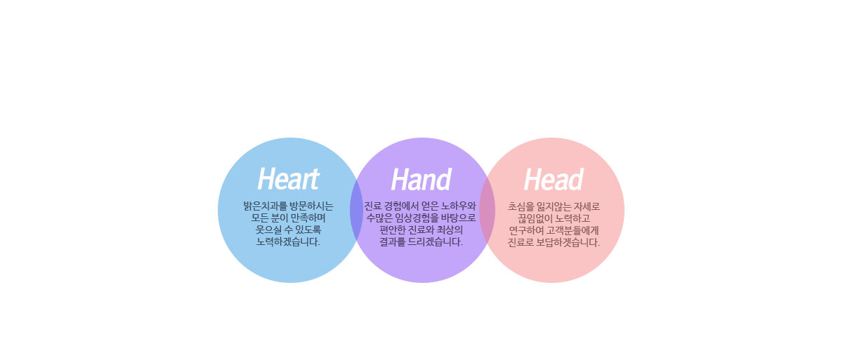 텍스트